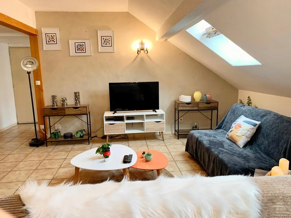 Charmant Appart Sous Toits Proche Chateau Des Ducs Chambéry Frankrig