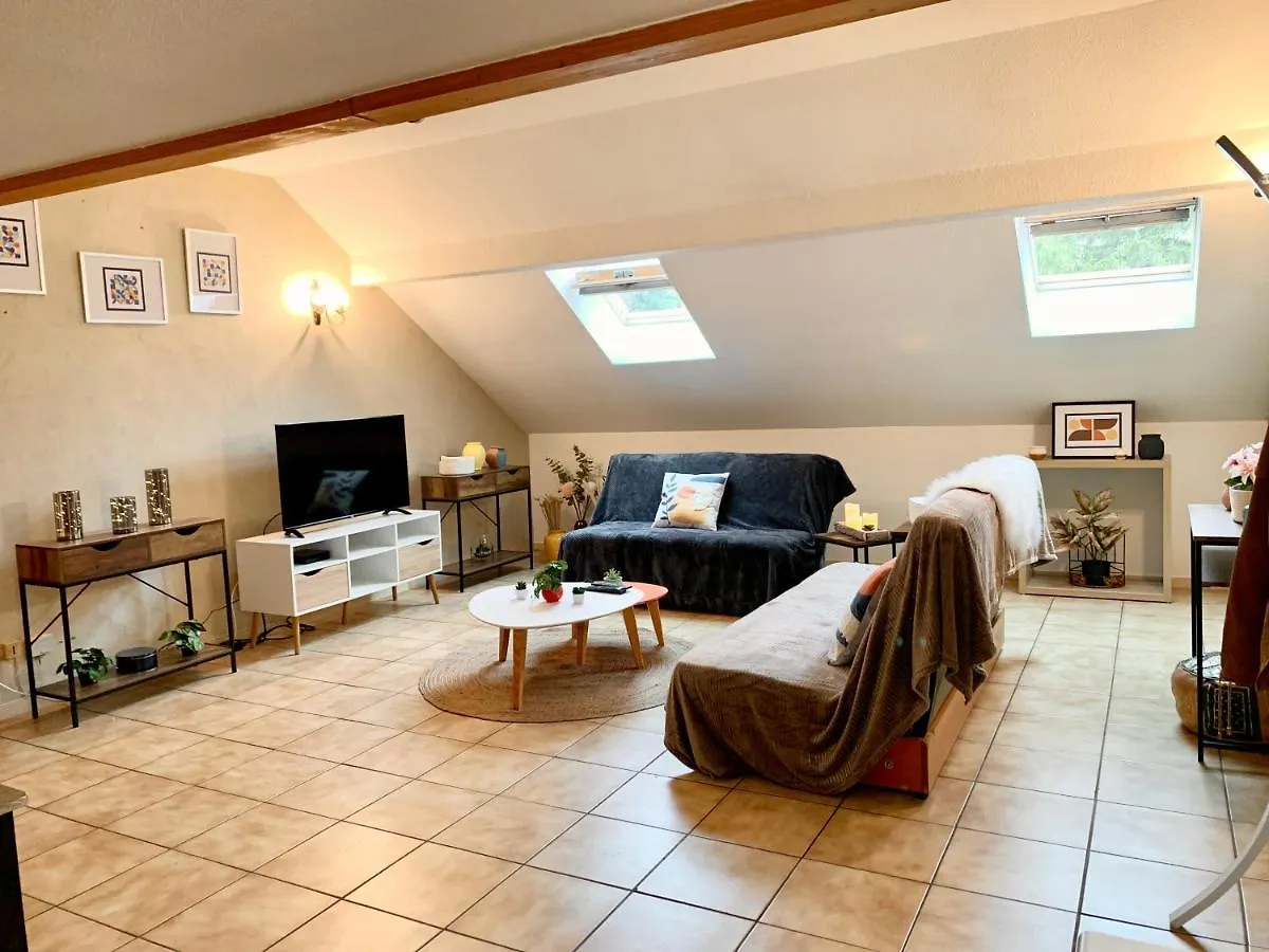 Charmant Appart Sous Toits Proche Chateau Des Ducs Chambery Apartment