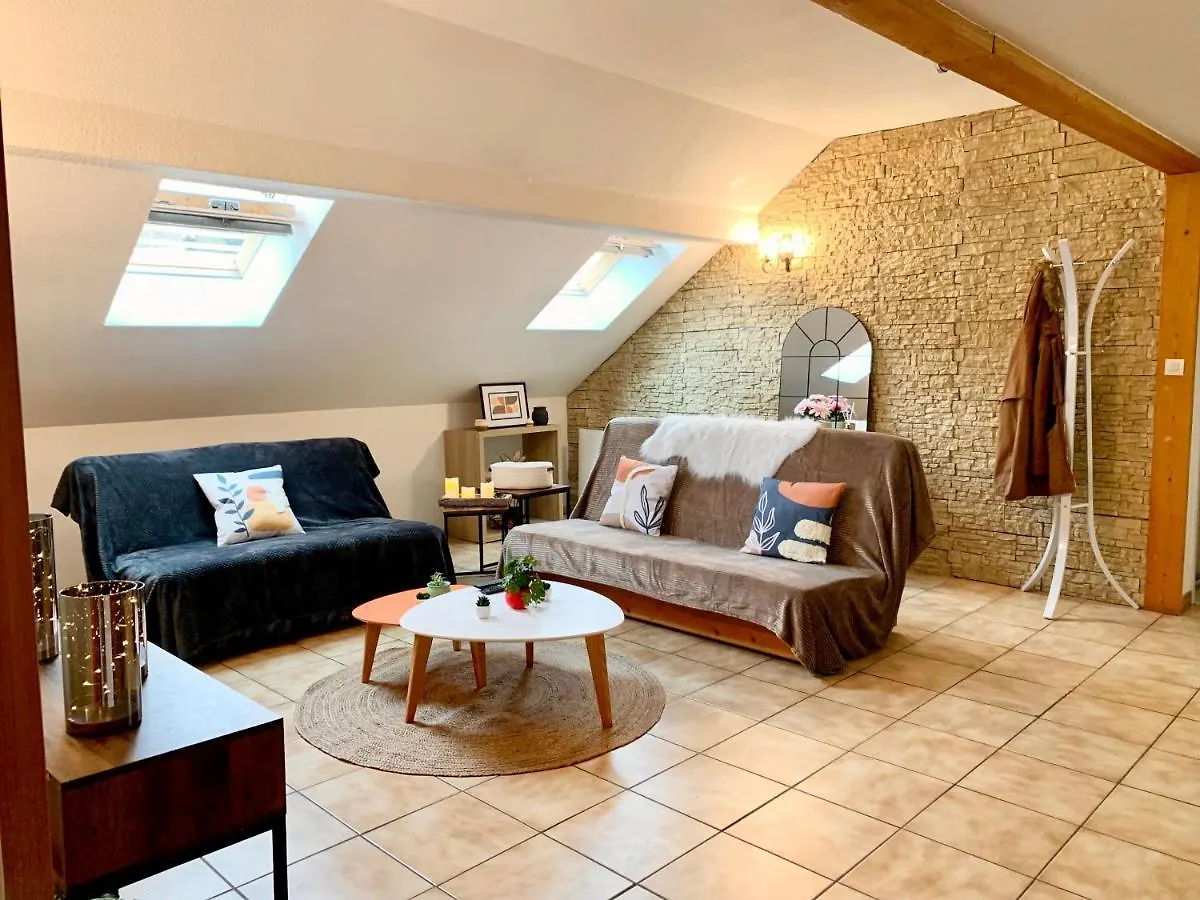 Charmant Appart Sous Toits Proche Chateau Des Ducs Chambéry Lejlighed